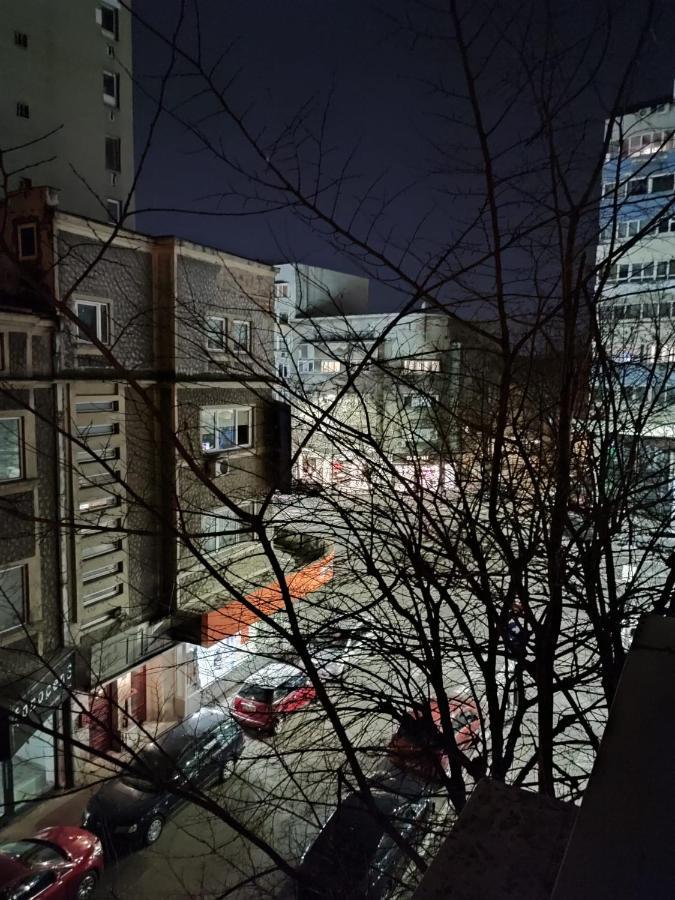 Dorobanti Apartment Бухарест Екстер'єр фото